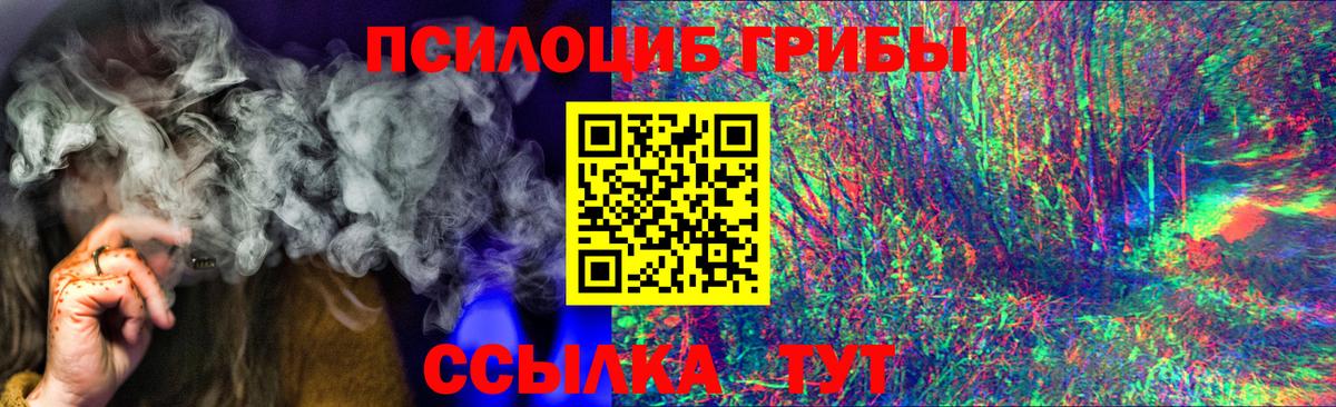 Псилоцибиновые грибы Psilocybine cubensis Сальск