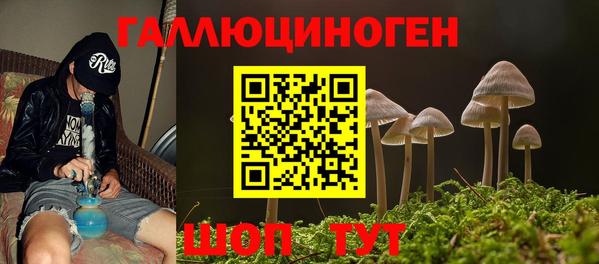 Псилоцибиновые грибы Magic Shrooms  Вход с VPN  Сальск 